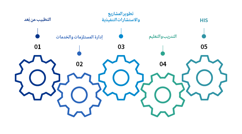 01 التطبيب عن بُعد, 02 إدارة المستلزمات والخدمات, 03 تطوير المشاريع والاستشارات التنفيذية, 04 التدريب والتعليم, 05 HIS