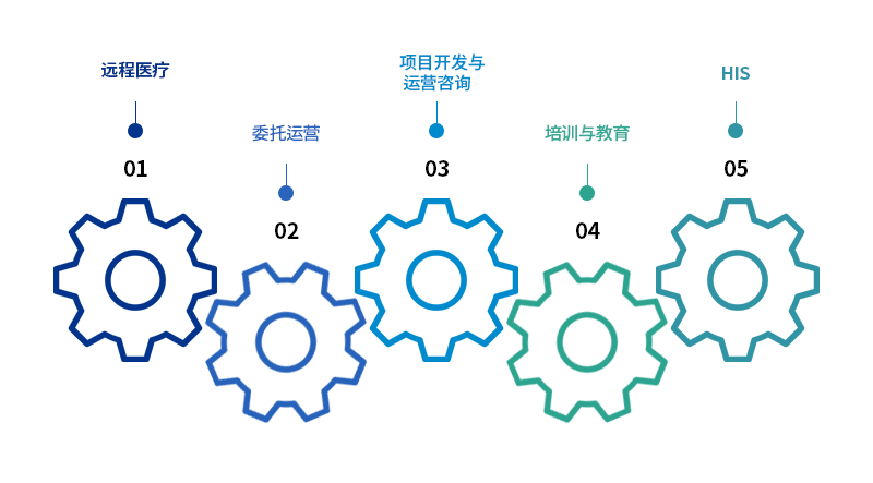 01 远程医疗, 02 委托运营, 03 项目开发 & 运营咨询, 04 培训 & 教育, 05 医院信息系统