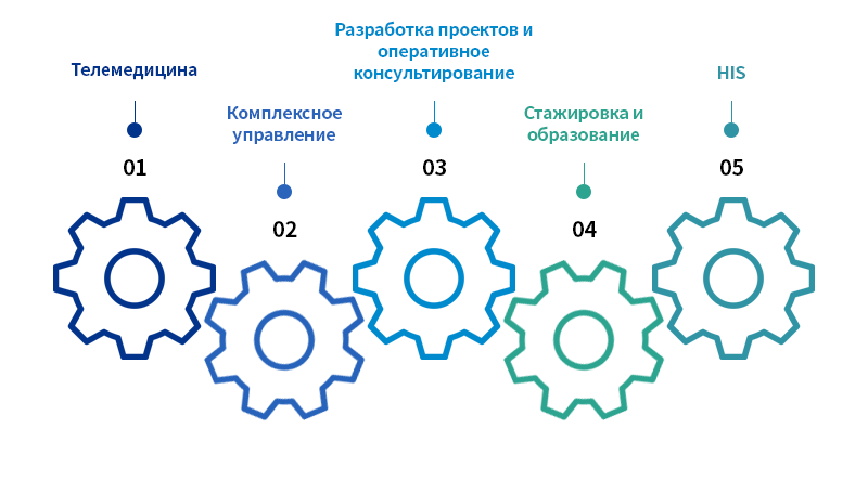 01 Телемедицина, 02 Комплексное управление, 03 Разработка проектов и оперативное консультирование, 04 Стажировка и образование, 05 HIS