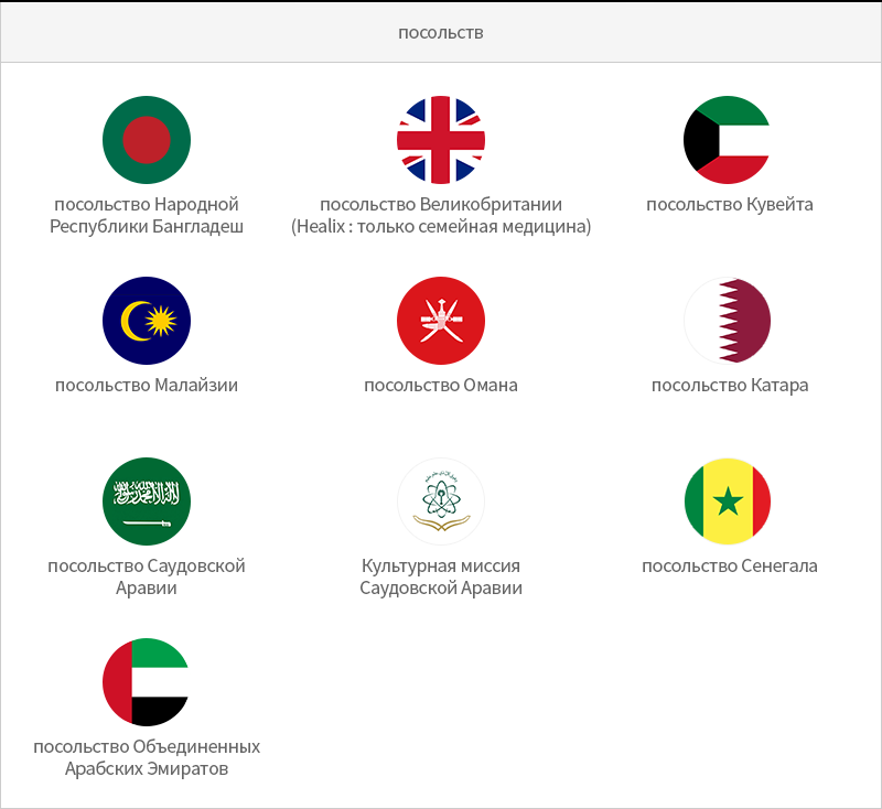 Embassy-Bangladesh Embassy, England Embassy(Healix : Family Medicine Only), Kuwait Embassy, Malaysia Embassy, Oman Embassy, Qatar Embassy, Saudi Arabian Embassy, Saudi Arabian Cultural Mission, Senegal Embassy, United Arab Emirates Embassy