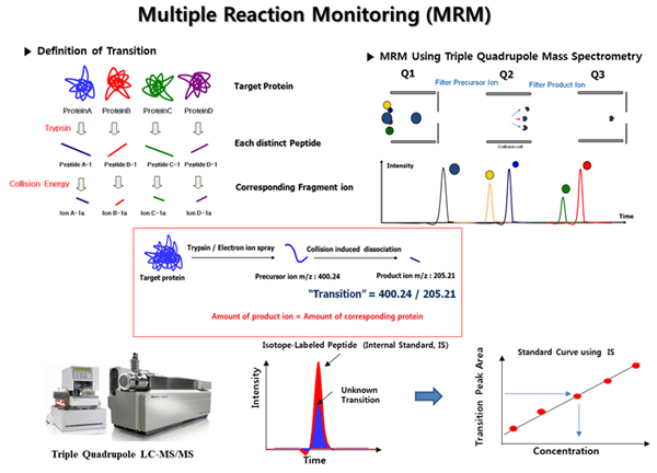 다중반응검지법(Multiple Reaction Monitoring,MRM) 원리