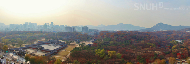 창경궁 단풍