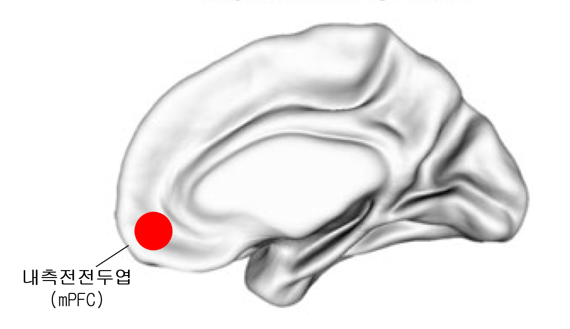 2. 내측전전두엽