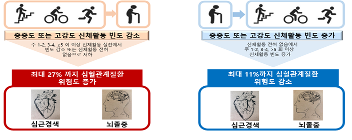 그림 2 중등도(moderate), 고강도(vigorous) 활동 빈도에 따른 심근경색과 뇌졸중 위험도 변화를 나타낸 그림.