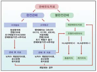 치료