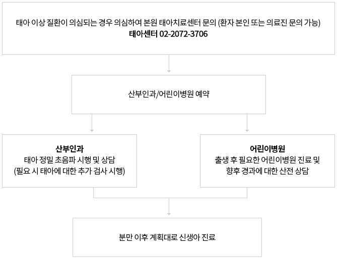 진료과정