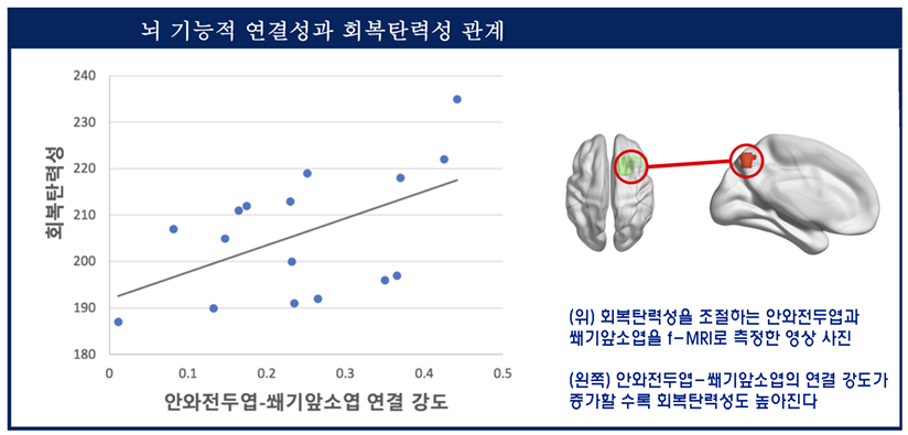 뇌 기능적 연결성과 회복탄력성 관계