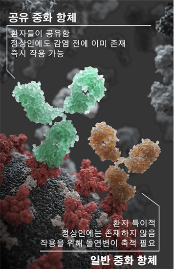 항체