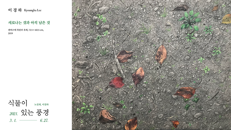 식물이 있는 풍경 이경하 새로나는 것과 아직 남은 것