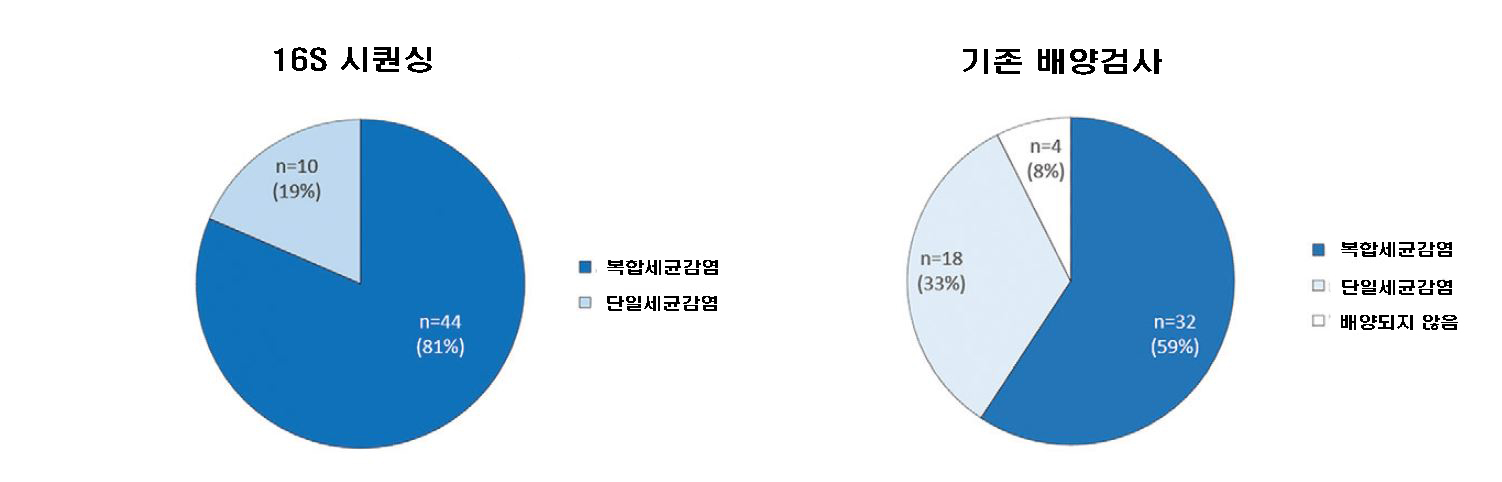 결과비교