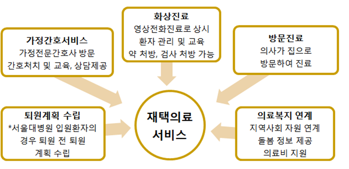 재택의료 서비스 모식도