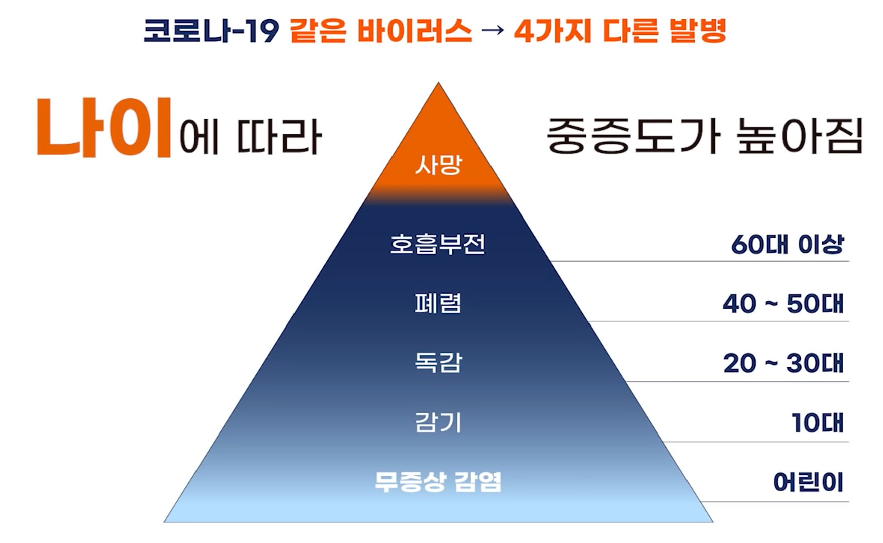 [자료2] 코로나-19 감염병 피라미드