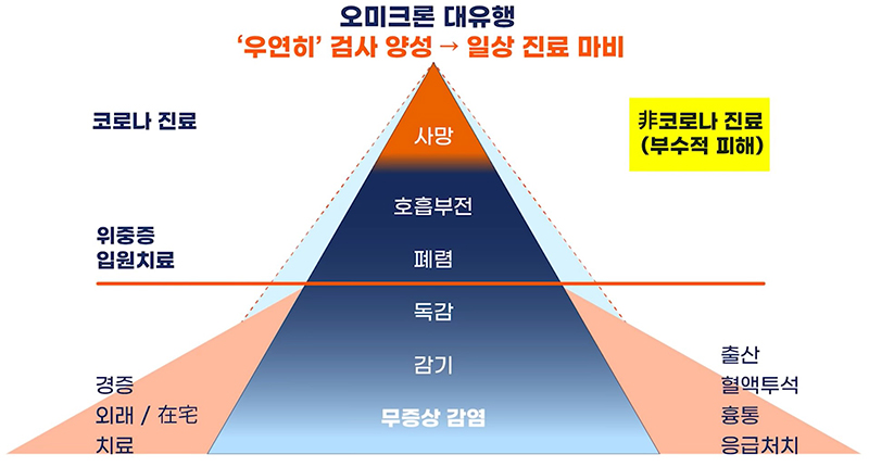 [자료10] 오미크론 대유행 피라미드