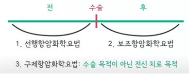 항암화학요법의 분류