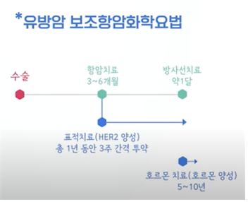 보조항암 화학요법