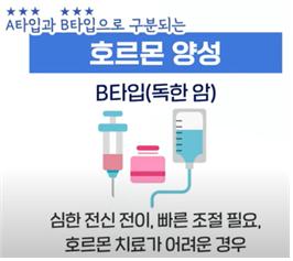 호르몬 양성 B타입