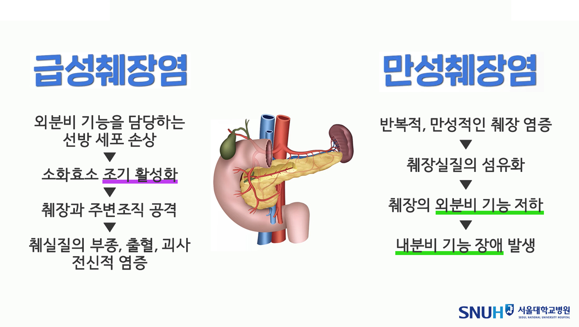 [자료2] 급성, 만성 췌장염의 차이