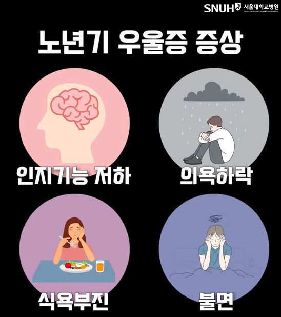 노년기 우울증 대표 증상