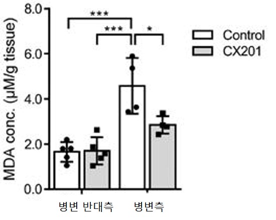 CX201 투여군 및 대조군 뇌 조직 지질과산화 지표 비교 