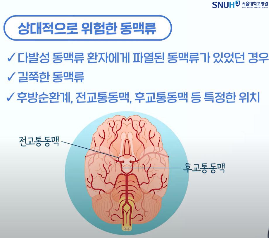 상대적으로 위험한 동맥류