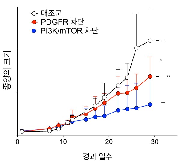 경과 일수에 따른 종양 크기 비교 그래프