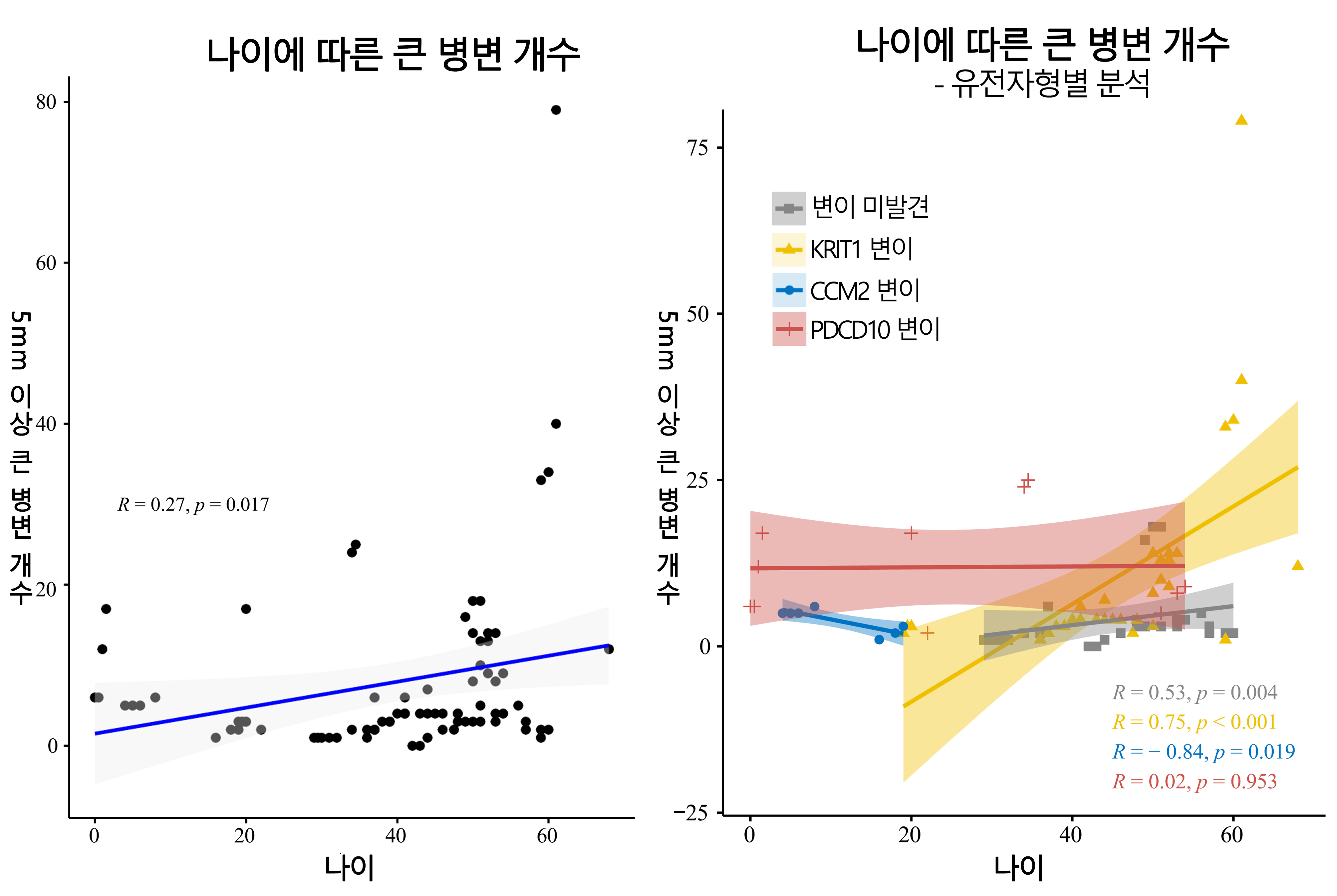 나이에 따른 큰 병변 개수