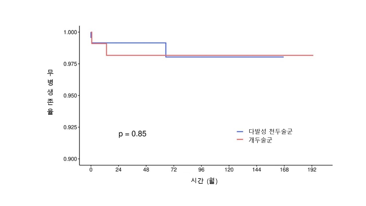 개두술과 다발성 천두술의 뇌경색 없는 10년 생존율 비교