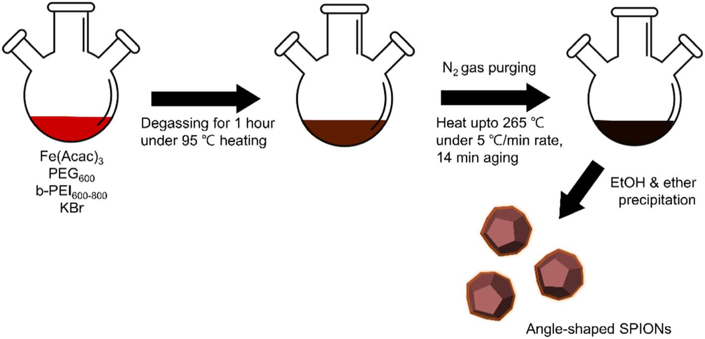 브롬화칼륨(KBr) 및 PEI, PEG 용매를 이용해 비등방성 각형의 브로마이드-산화철 입자를 합성했다.