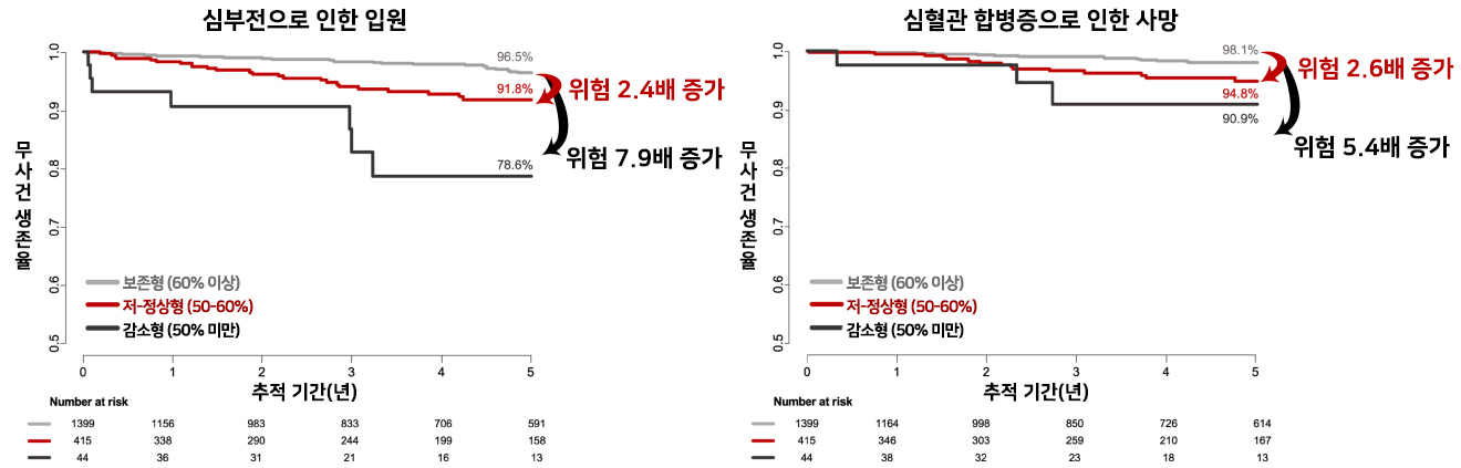 비후성 심근증 환자의 심장 수축력에 따른 예후 비교 그래프