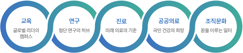 교육, 연구, 진료, 공공의료, 조직문화