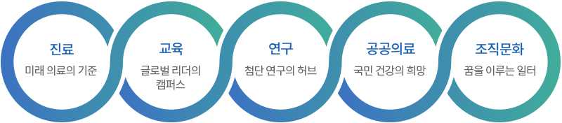 '교육, 연구, 진료, 공공의료, 조직문화