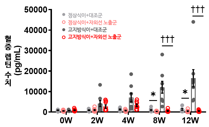 자외선 노출군은 대조군에 비해 피하지방에서 렙틴 발현이 실험 8주차부터 유의미하게 감소함