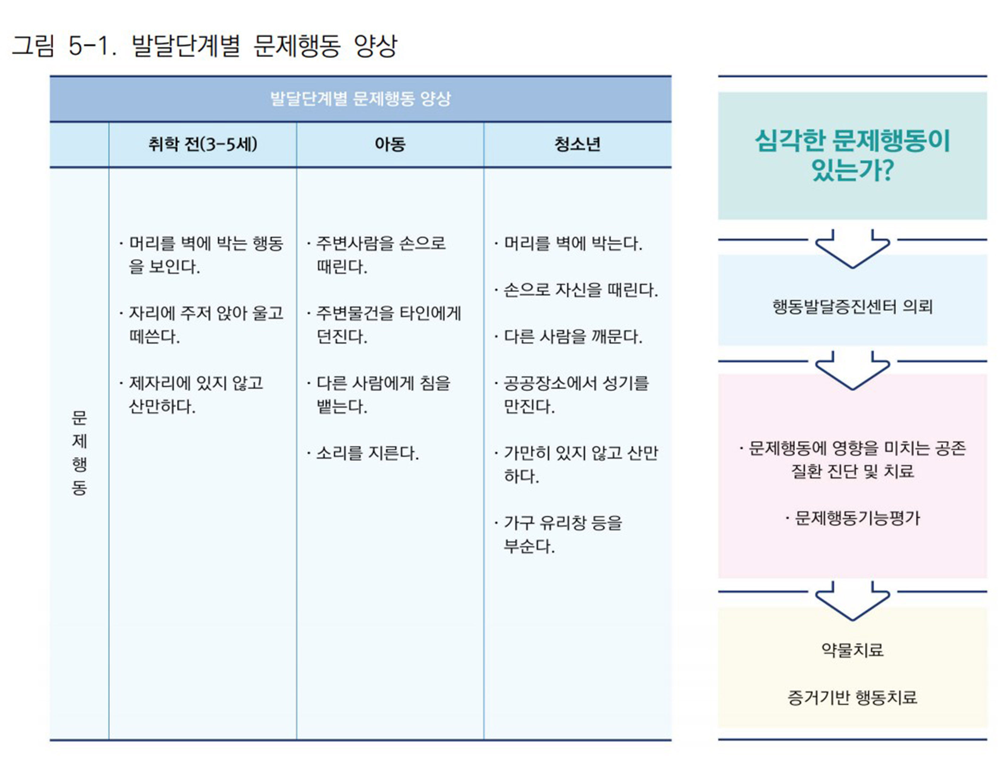 [그림] 발달단계별 문제행동 양상(왼쪽), 문제행동 평가 및 치료 과정 흐름도(오른쪽) (5장 수록)