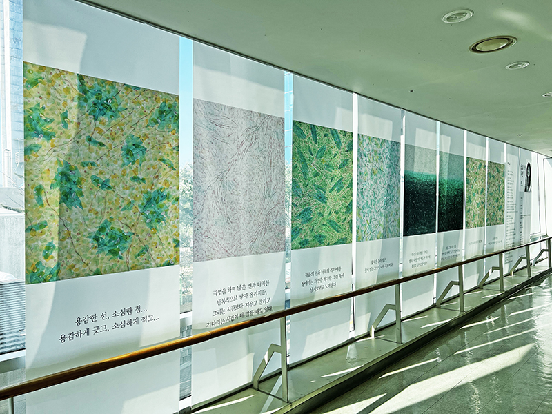 제5회 송인옥의 삶을 향한 시선(암병원2층연결통로) 제5회 송인옥의 삶을 향한 시선(암병원2층연결통로)