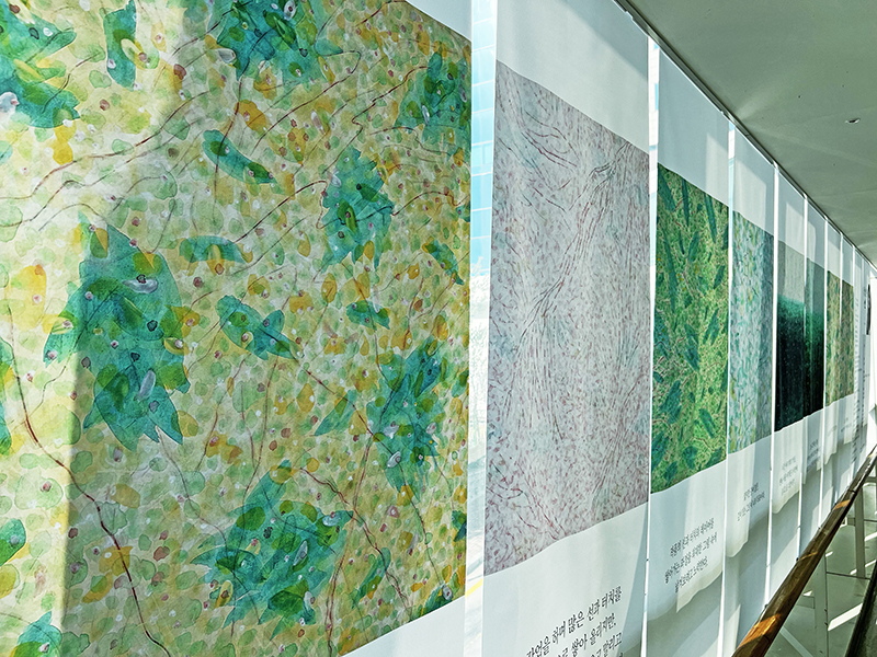 제5회 송인옥의 삶을 향한 시선(암병원2층연결통로) 제5회 송인옥의 삶을 향한 시선(암병원2층연결통로)