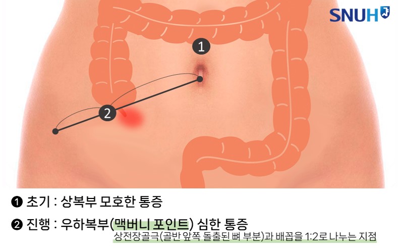 통증 부위 이미지