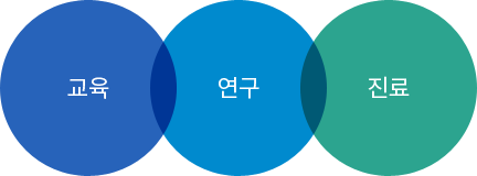 교육, 연구, 진료