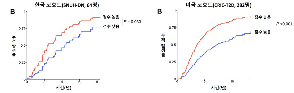 [병원뉴스]당뇨병콩팥병 치료제 개발 단서 확인