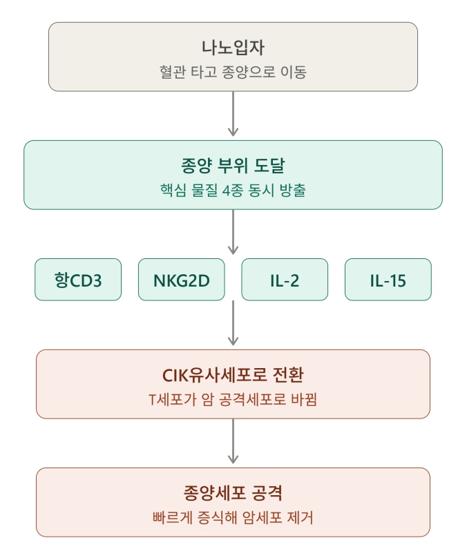 [병원뉴스]서울대병원-독일 본대학병원, 나노기술로 암 면역치료 부작용 줄이고 효과 높일 전략 제시