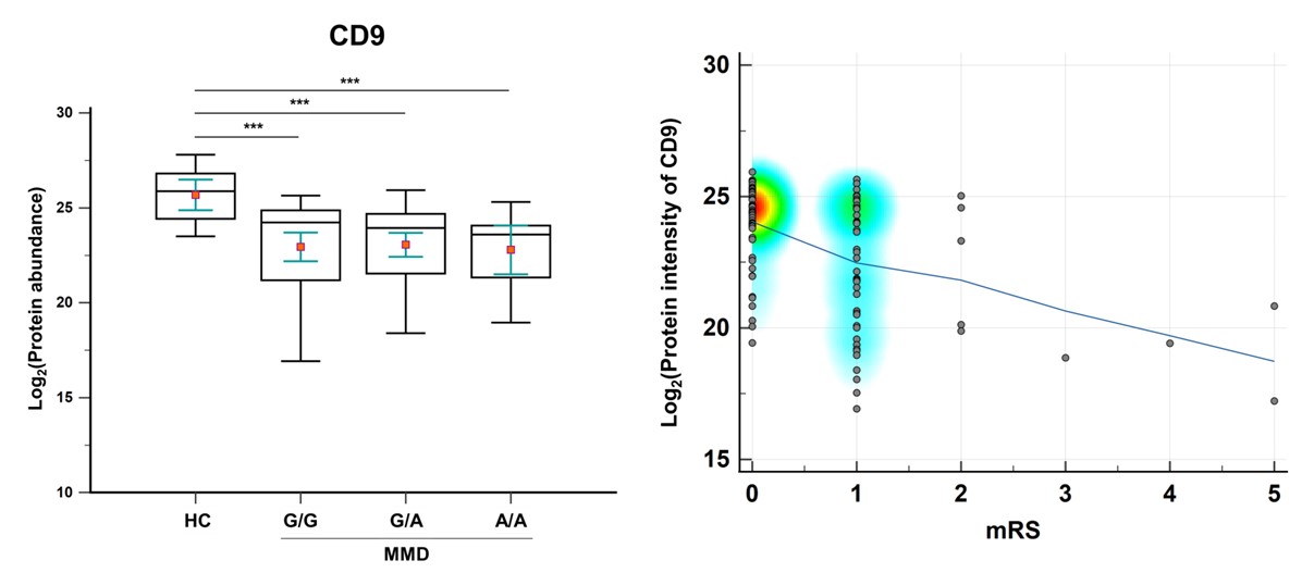[그림2] CD9 단백질 발현에 따른 예후 비교