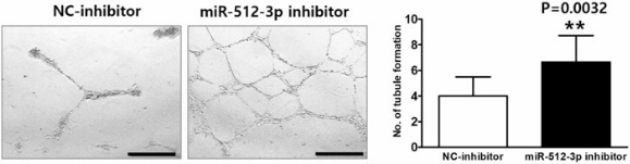 external_image external_image