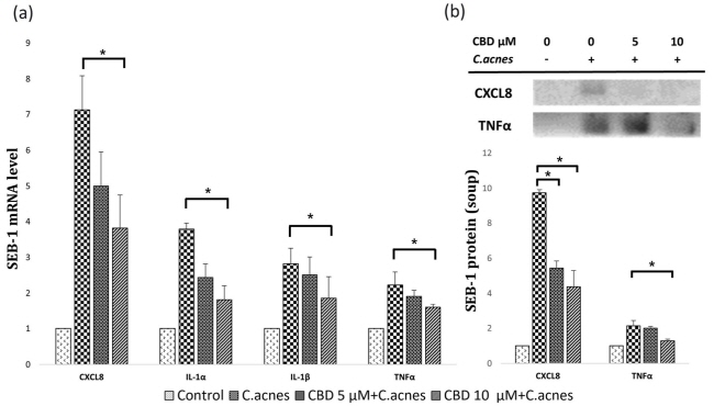 [Figure] CBD 처리에 따른 염증 반응 변화.