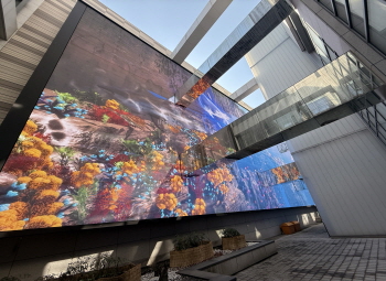 [사진1] 서울대병원 대한외래 멀티시네마월에서 상영 중인 &lsquo;국가유산 미디어아트&rsquo; 영상