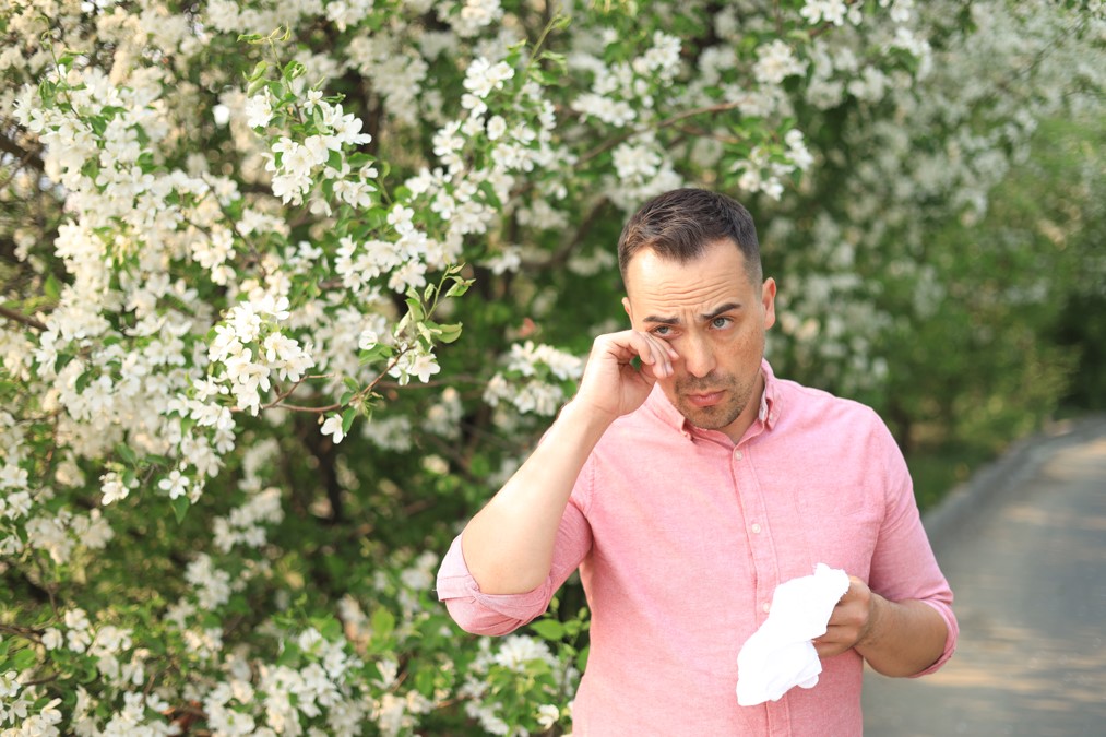 [이미지2] 알레르기 결막염