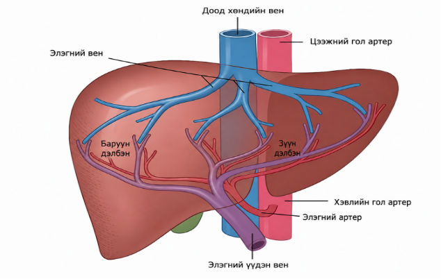 external_image