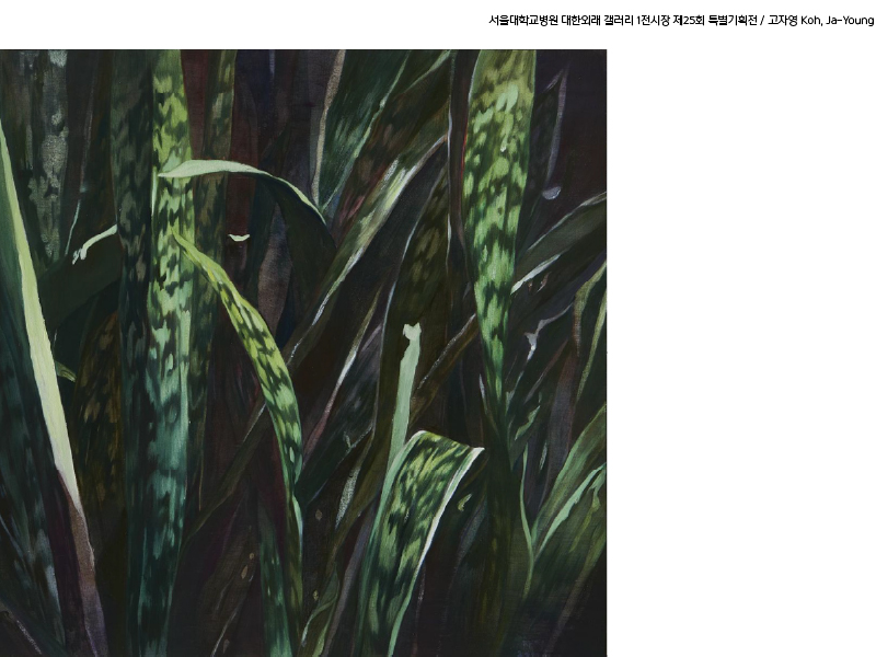 대한외래 갤러리 1전시장 제25회 사계정원(고자영 개인전) 도슨트