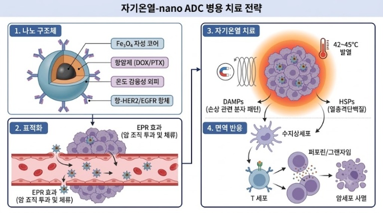 [그림2] 자기온열-nano ADC 병용 전략