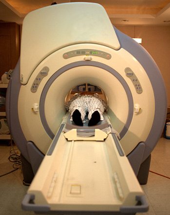 자기공명영상(MRI) 촬영장면