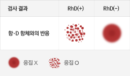 Rh 혈액형 검사