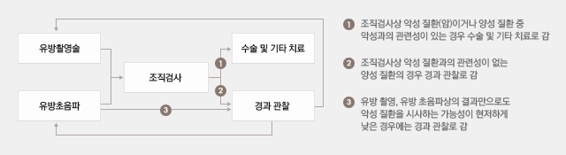 유방에 생긴 종괴에 대한 진단 및 치료 흐름도